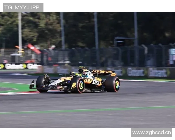 F1赛季车队排名及车手表现总结